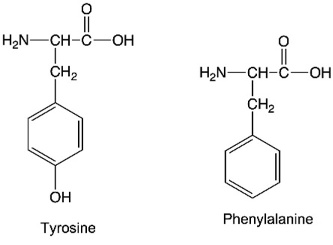 (45)シリーズ 血液中のアミノ酸測定の標準化 ② 血液中のアミノ酸濃度は疾病判定や健康リスク診断に有効です AS Frontiers