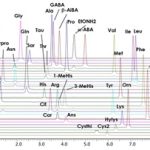 38 Amino Acid Analysis by UF-Amino Station