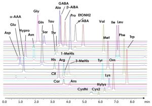 Amino Acid Analysis Chromatogram