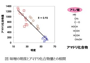 Correlation between miso coloration and the amount of amadori compounds