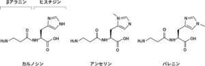 dipeptide