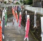 koinobori
