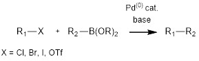 suzuki-miyaura coupling reaction
