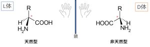 Optical isomers of amino acids